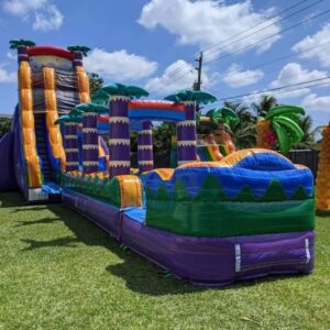 Large double lane palm tree water slide