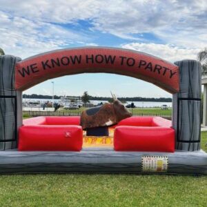 Mechanical bull ride 2