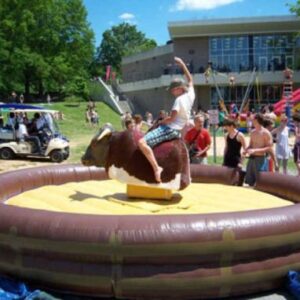 Mechanical Bull