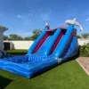 14ft H Dolphins Water Slide