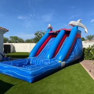 14ft H Dolphins Water Slide
